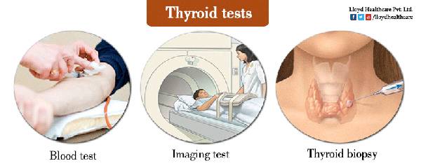 Thyroid - d