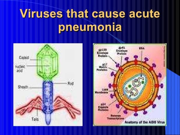 viruses