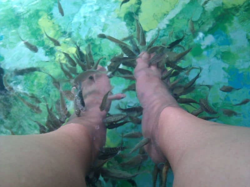 Fish Pedicure