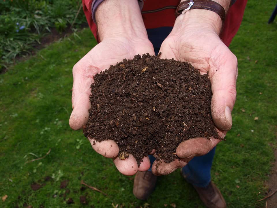 Organic-Fertilizer