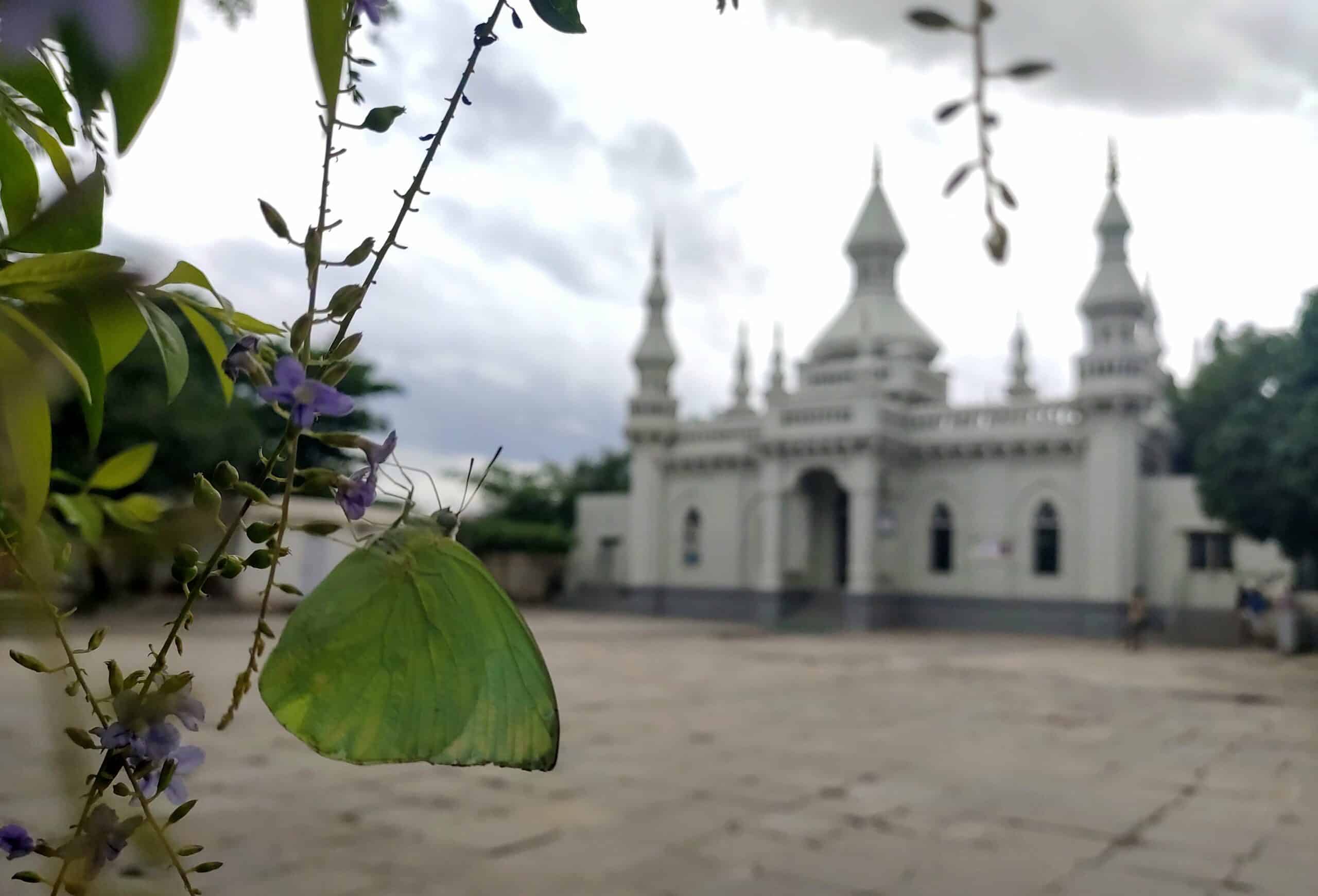 Hyderabad: God of small happiness at Spanish Mosque