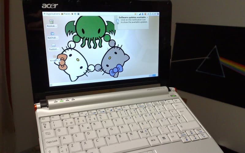 Acer