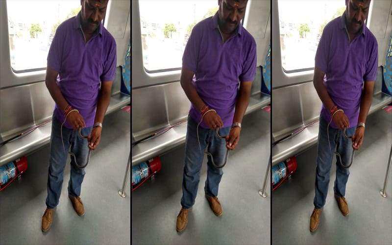 Snake found in Hyd Metro train