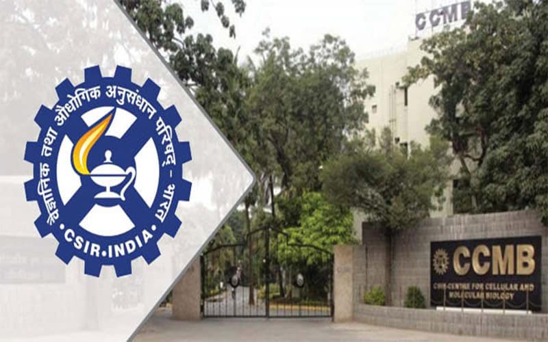 Hyderabad: Fear seems to have set into the minds of several citizens in Hyderabad a day after a joint report by two premier scientific institutions concluded that about 6.6 lakh people have been infected by the novel coronavirus (COVID-19). If true, it belies the state government’s official data of one lakh cases that have been reported in Telangana so far, and also means that the government has been grossly underreporting cases. Moreover, doctors in the city who are currently treating COVID-19 patients have also raised doubts about the results, while the scientific institutions stand by their findings. The study was conducted by the Centre for Cellular and Molecular Biology (CCMB) and the Indian Institute of Chemical Technology (IICT), which are based in Hyderabad. A CCMB press release on August 19 stated, “Of the 1800 million litres water used daily in Hyderabad, 40 per cent is processed at different sewage treatment plants (STPs). In a collaborative effort, CSIR-CCMB and CSIR-IICT harvested the sewage samples to estimate the number of potentially infected individuals in the city.” Covering 80 per cent of the STPs in the city, it disclosed that about two lakh people are shedding viral materials. With only 40 percent of the Hyderabad’s sewage reaches STPs, the joint study extrapolated that the total amount of potentially infected people, which turned out to be approximately 6.6 lakh (6.6. per cent of the city’s population)—including symptomatic, asymptomatic and recently recovered people. However, doctors from the state-run Osmania General Hospital and Gandhi Hospital said that the numbers given by the CCMB-IICT report may not be completely accurate. “A lot of people will have some mild symptoms like cold or fever but a virus is an antigen which spreads and causes an infection after entering the body. Only an antigen test will show you a proper infection. Why are we testing for antigens of COVID now?” said a senior doctor from OGH who did not want to be quoted. Another doctor from Gandhi Hospital, a nodal treatment center for COVID, said that people also have antibodies inside themselves, which are produced as a counter-measure when a virus or bacteria enters the body, then it poses no problem. It means they possess immunity,” said a doctor from OGH. In Telangana, as of 20 August, a total of 97,424 COVID-19 cases have been reported, of which 1,724 were reported on Thursday. Out of the total numbers, 75,186 people have recovered, while 729 have died after succumbing to the virus. The state’s total is clearly way below what the CCMB-IICT study has suggested. It will be interesting to see if the central government takes any action based on it. When contacted CCMB director Rakesh Mishra said that they did not test for antibodies in their study, but tested fecal samples from Hyderabad’s sewage system. “So what we are testing are people who have been shedding the virus. Many people will start testing negative after 12 to 14 days, which means at least two thirds or more of these samples which we detected in a sewage stem are actually cured people or recovered people. Therefore, they are negative now and only one third of these are active cases,” he added. The joint study found out that about 6.6 lakh people are currently shedding the virus in Hyderabad. This means there are about 2.5 lakh people are active.”If these go out and sneeze, they can infect others. The remaining people are now shedding the virus in their fecal samples,” Mishra added