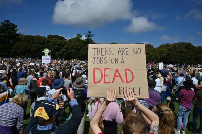 'Millions' protest in youth-led global climate strike