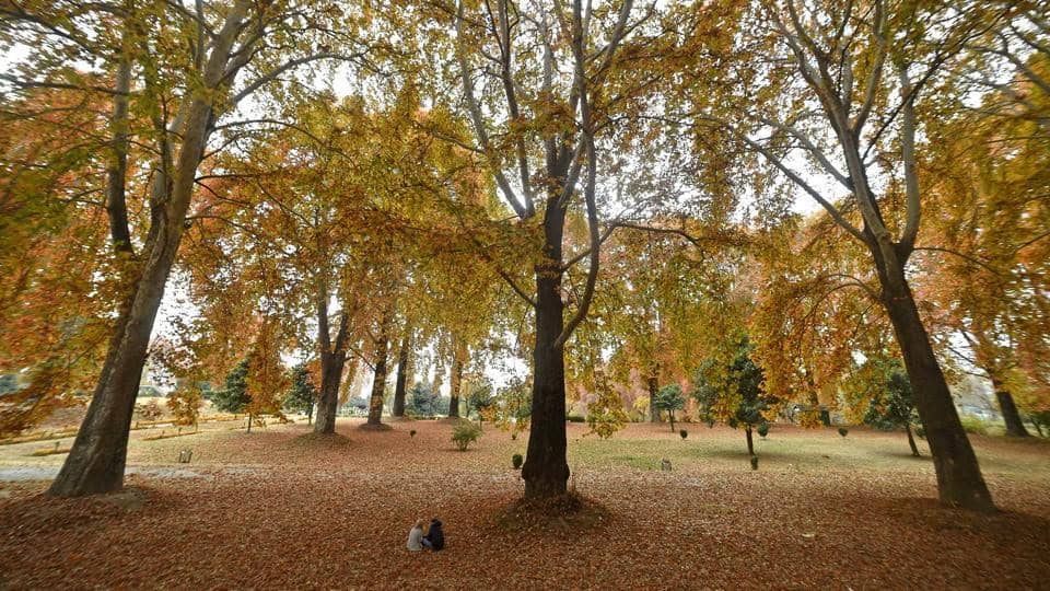 Autumn arrives in Kashmir without any tourists