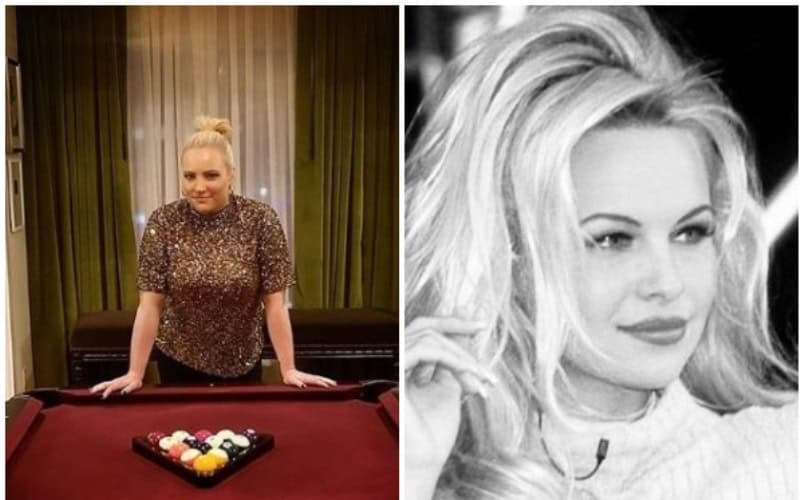 Meghan McCain, Pamela Anderson spar over Julian Assange