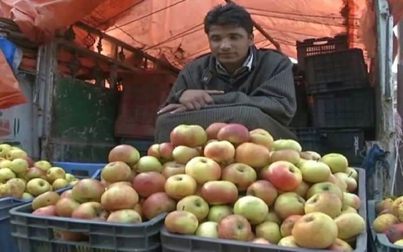 J-K: DC Shopian asks authorities to ensure apple growers reap benefits of MIS