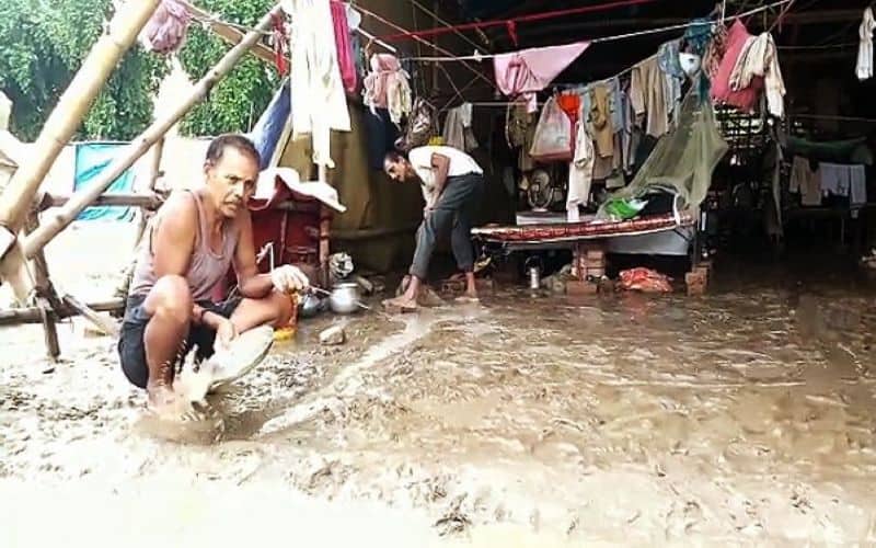 Parts of UP, Bihar and Gujarat likely to receive heavy rainfall: IMD