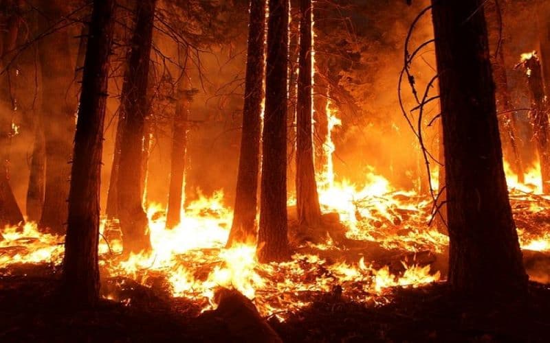 Smog intensifies in Thailand from Indonesia wildfires