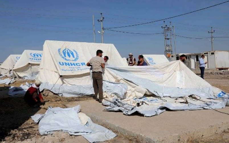 Syria Kurd families flee to Iraq as array of armies advance