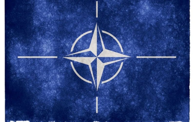 NATO forms Working Group to monitor Turkish offensive in Syria