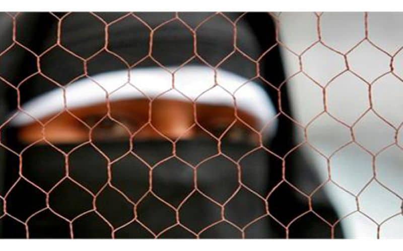 Khyber-Pakhtunkhwa distributes burqas among school girls
