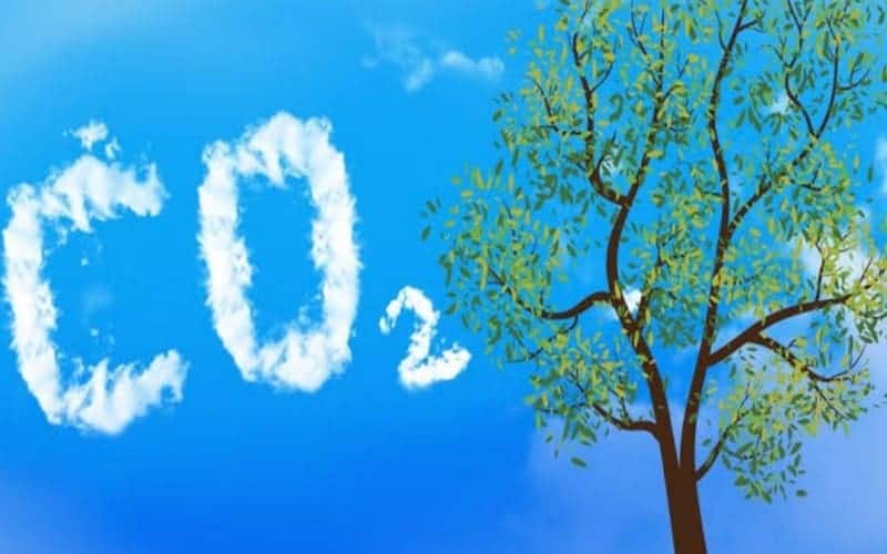 Research develops new way to remove carbon dioxide from air