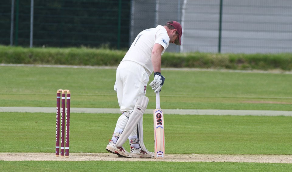 cricket-4357801_960_720