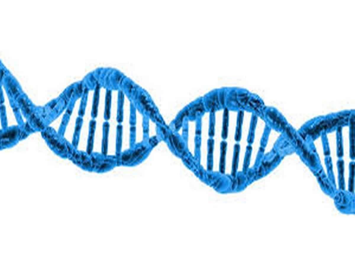 Your digital life may soon be stored on DNA data files