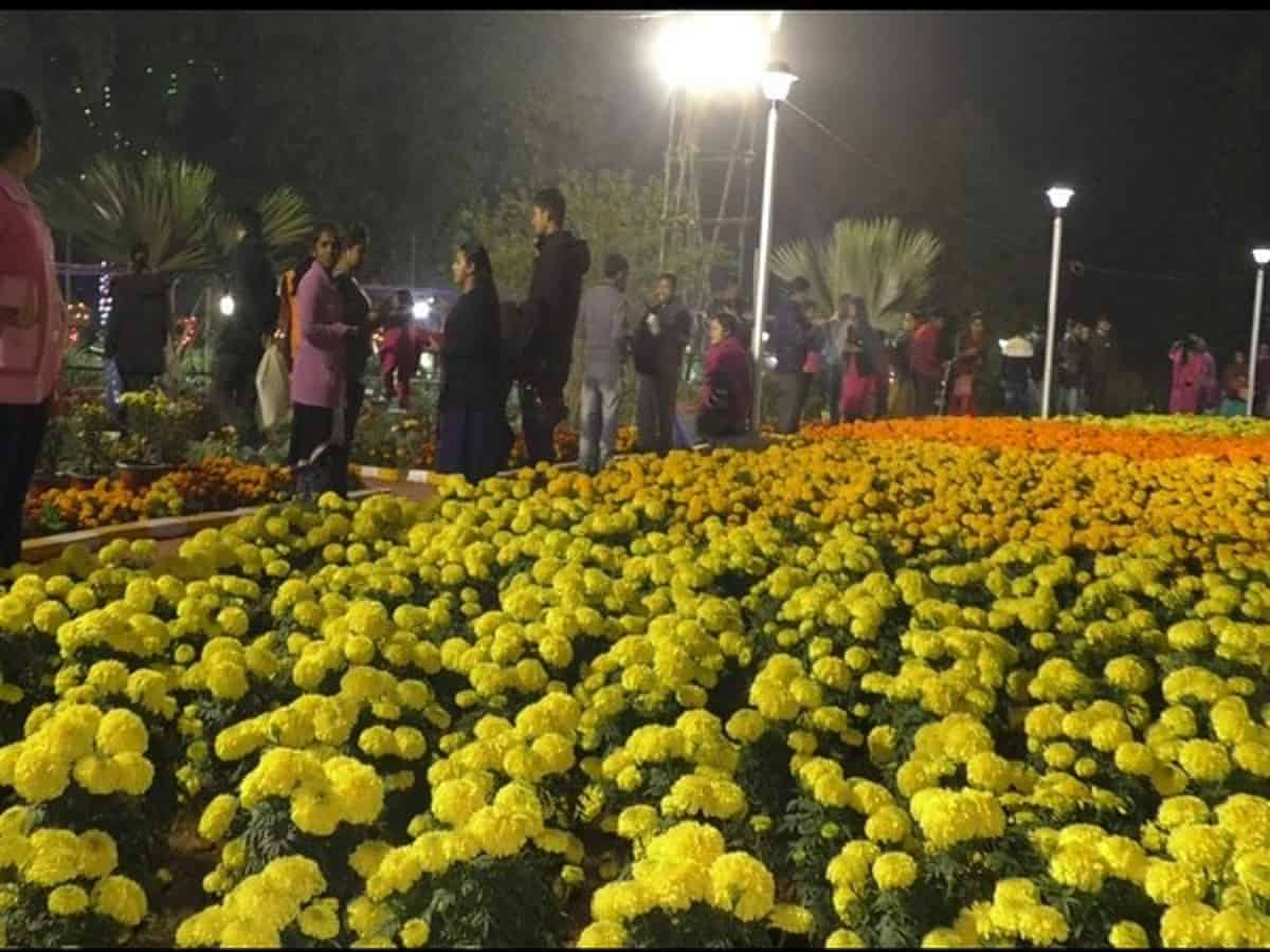 Flower fest