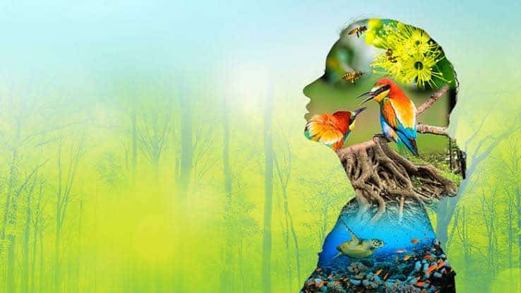 Iconic Mobile Biodiversity Festival of DDS is all set to roll