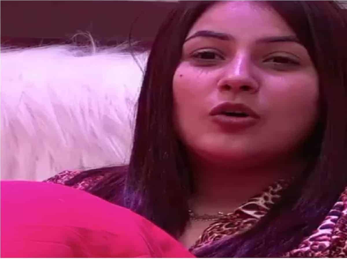 Shehnaaz