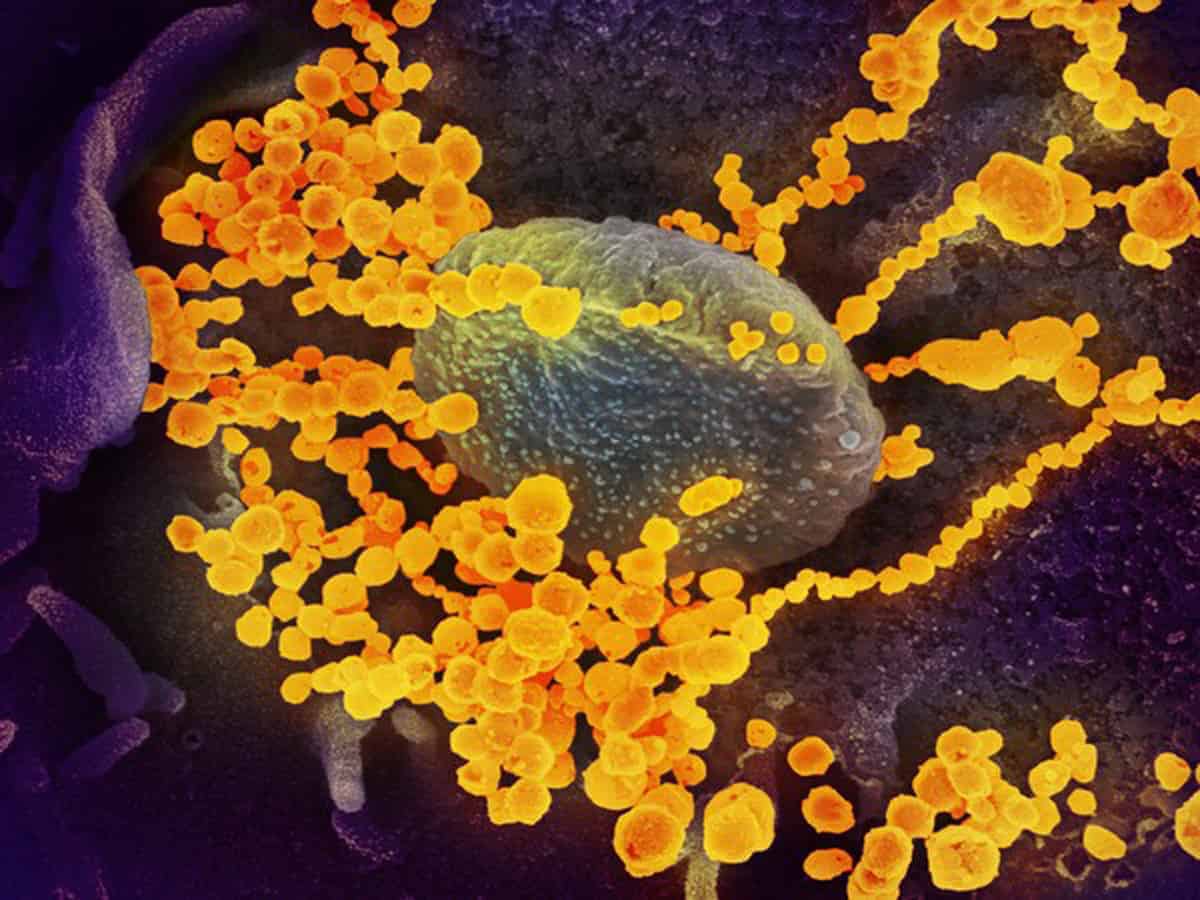COronavirus