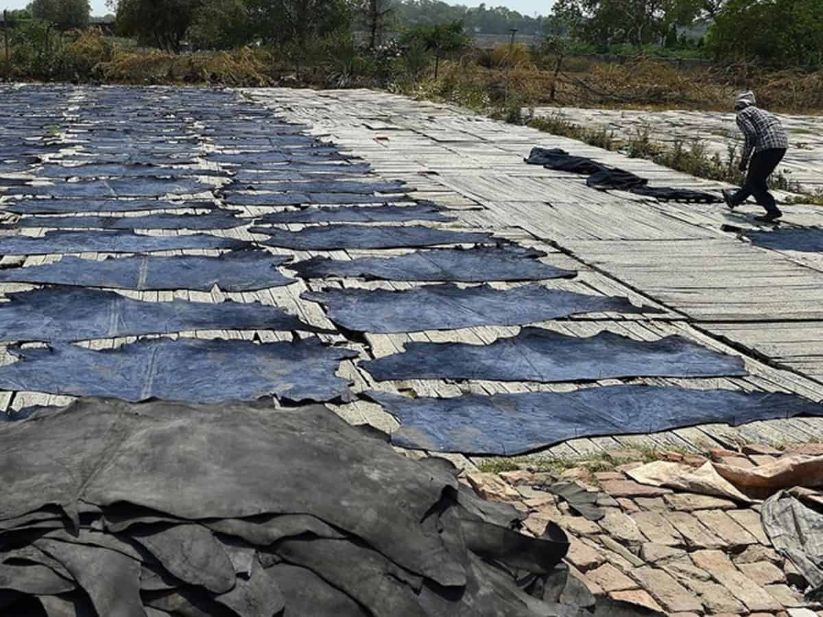 tanneries