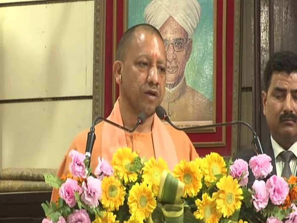 Yogi
