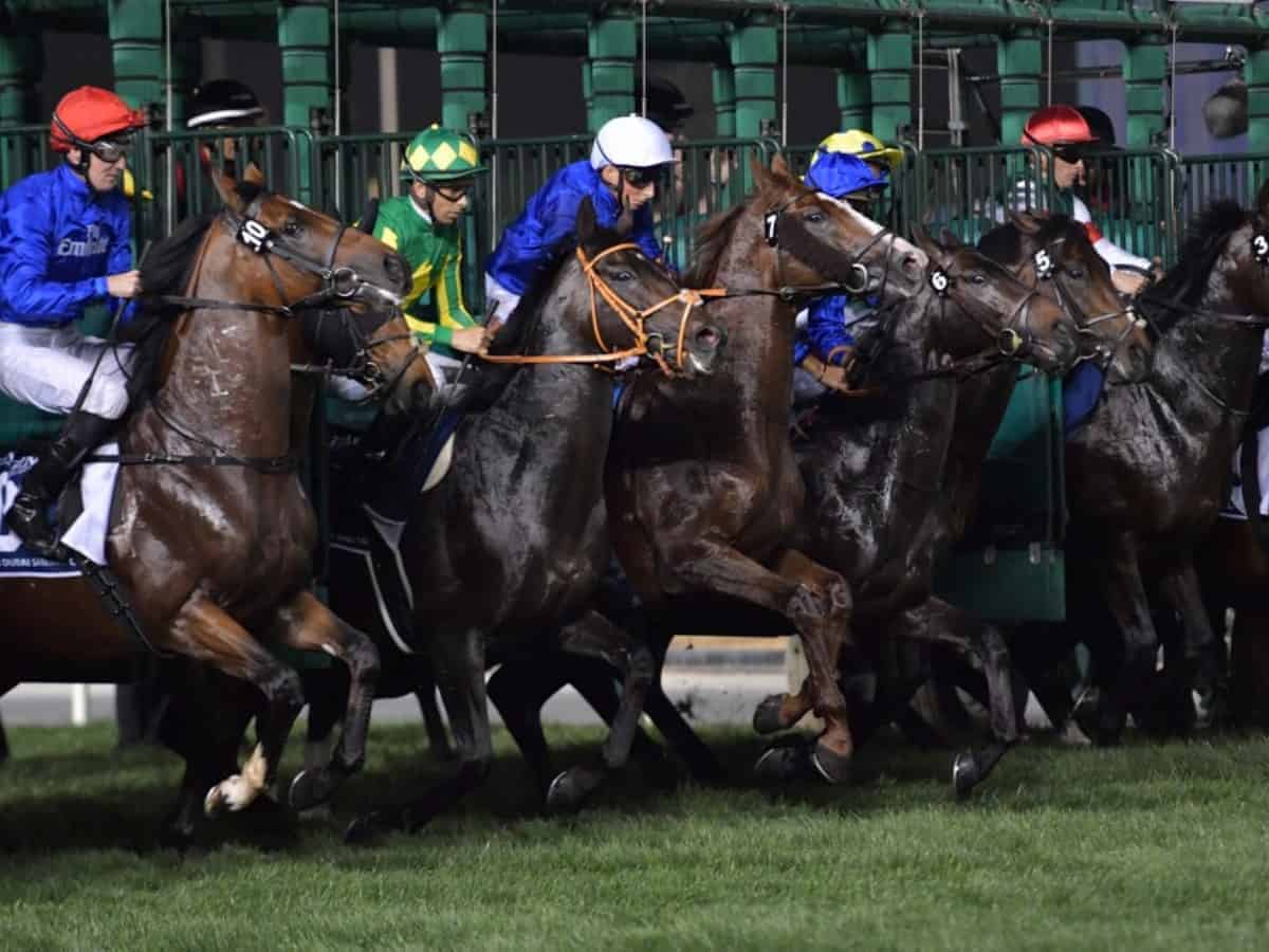 Dubai World Cup