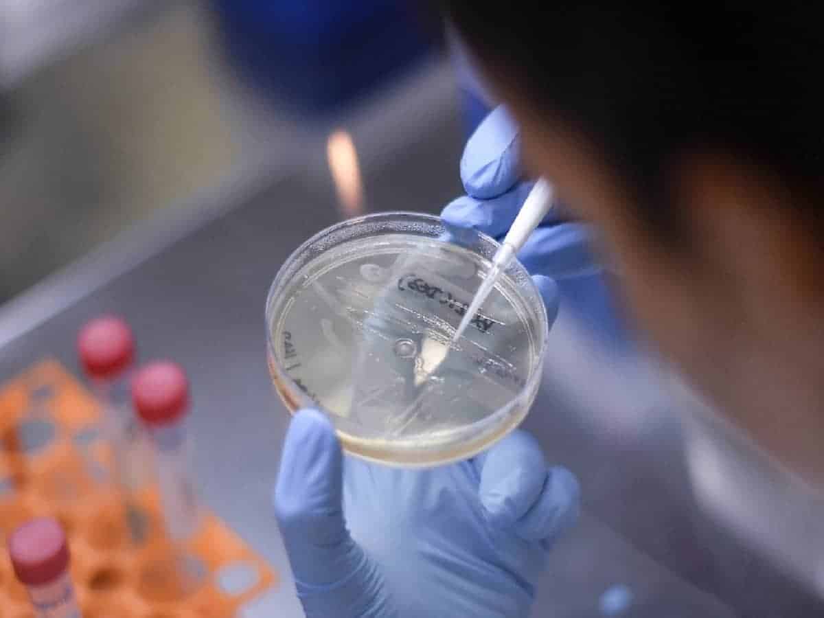 A researcher works on the development of a vaccine against the new coronavirus COVID-19,