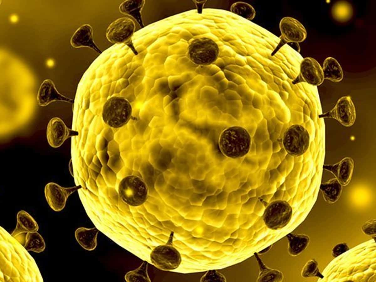coronavirus covid-19