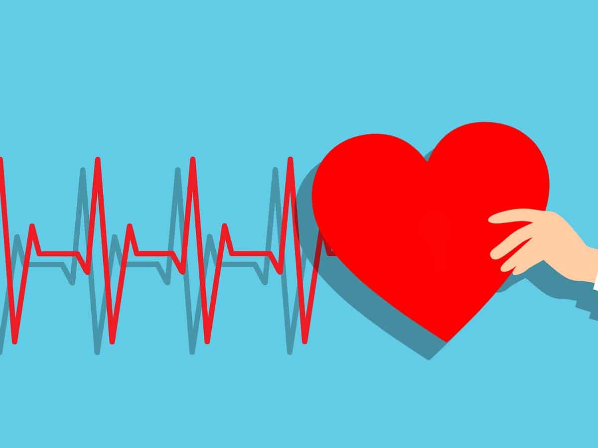 heart