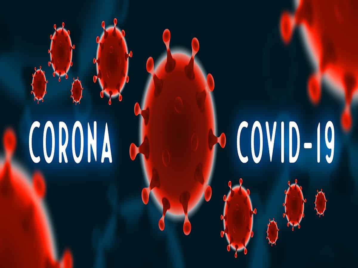 Immune system
