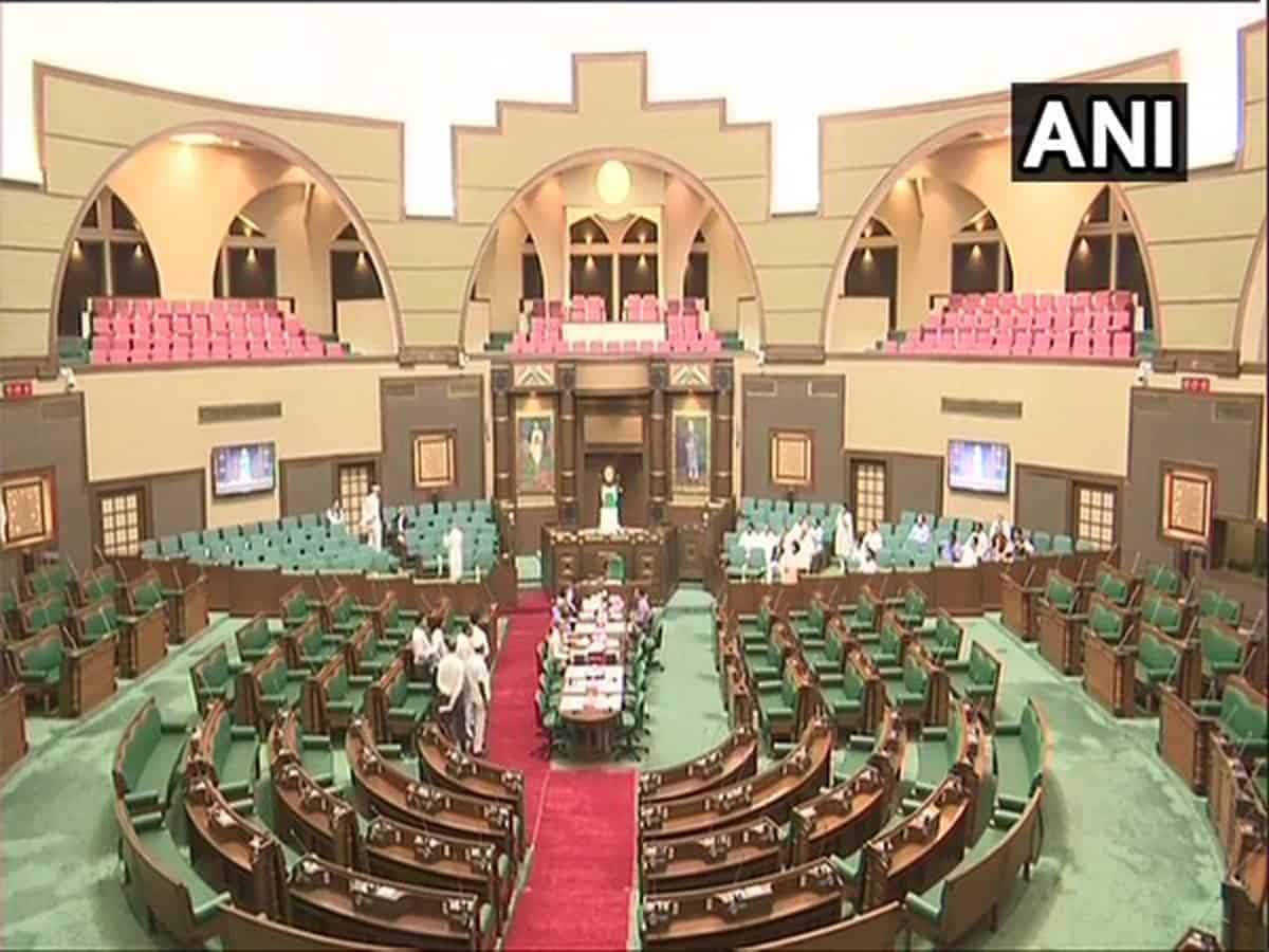 MP Assembly