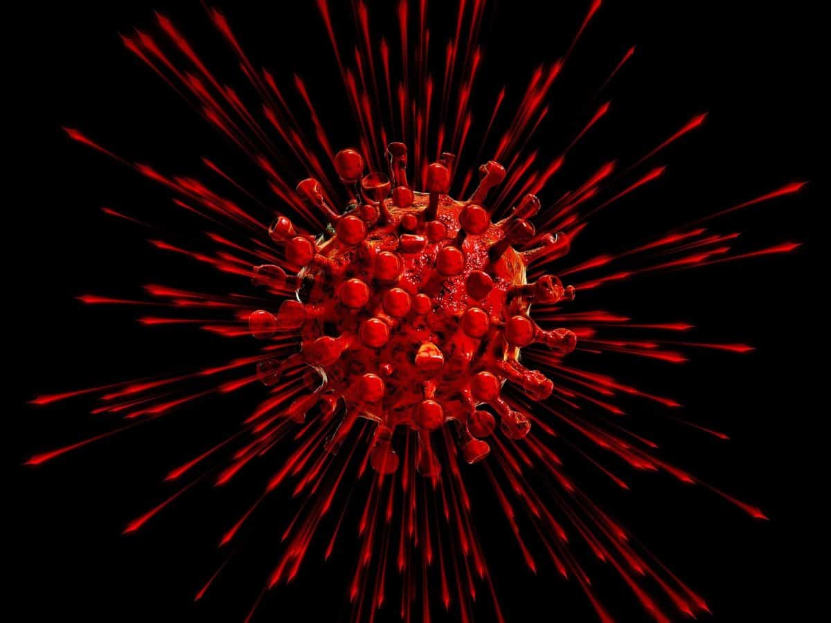 Coronavirus cases in India