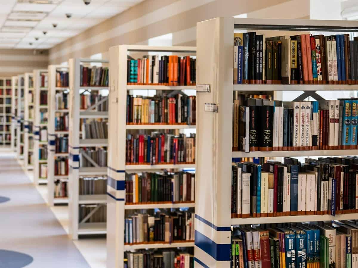 Education sector