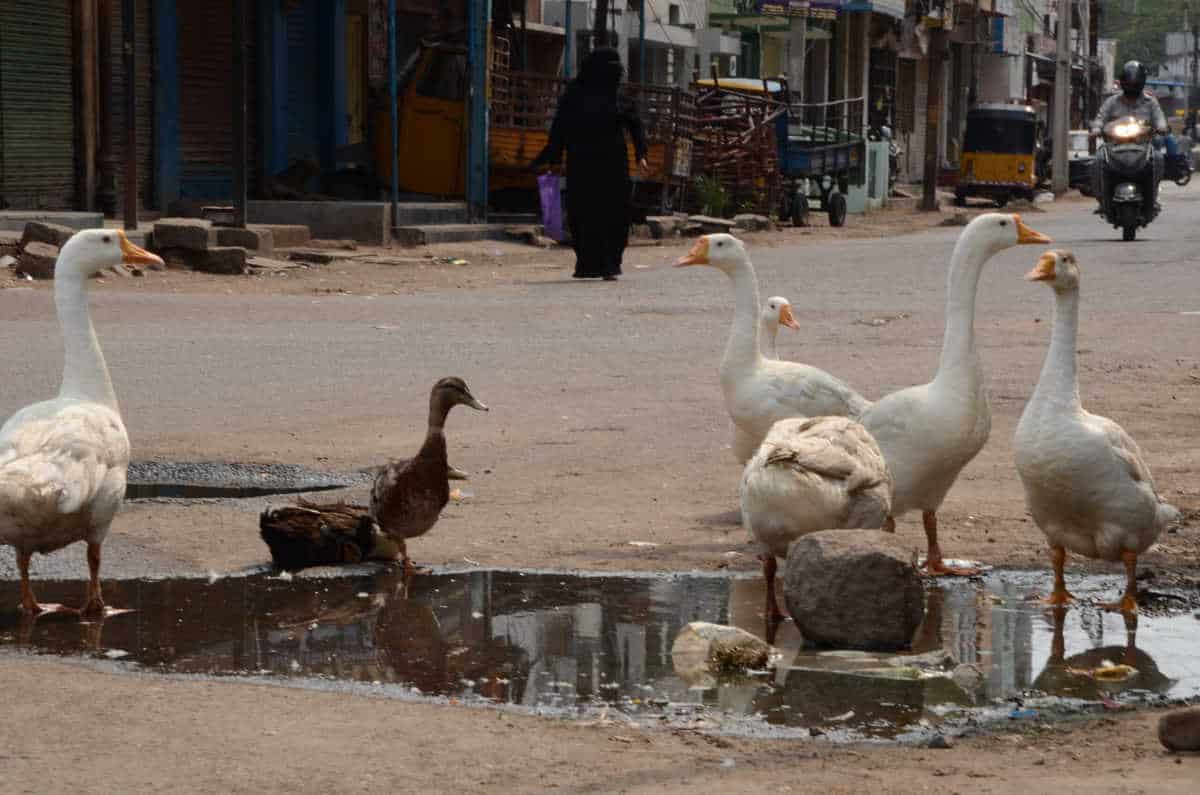 Photos: Lockdown in Hyderabad