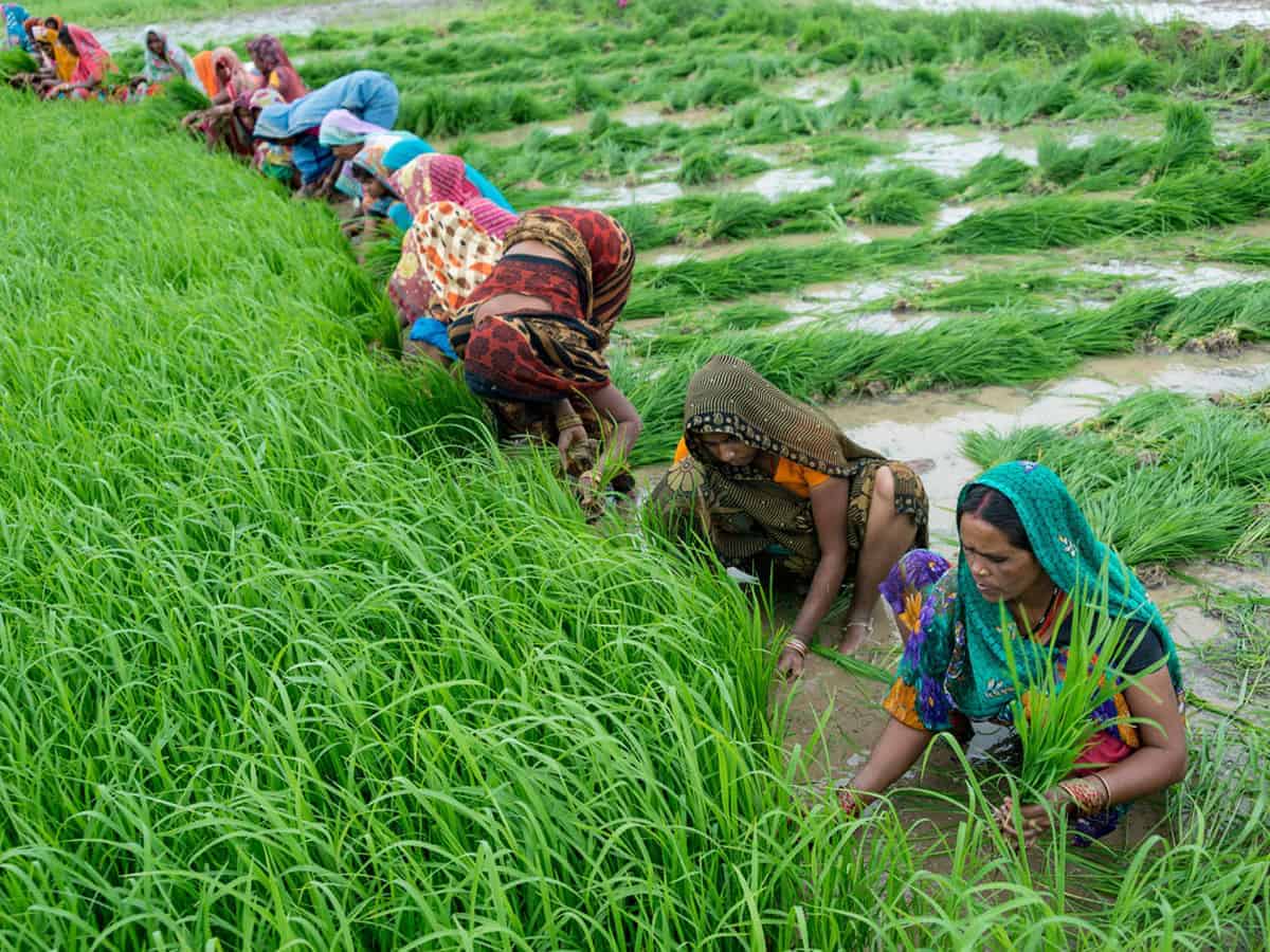 COVID-19 gives opportunity to change food supply system in India