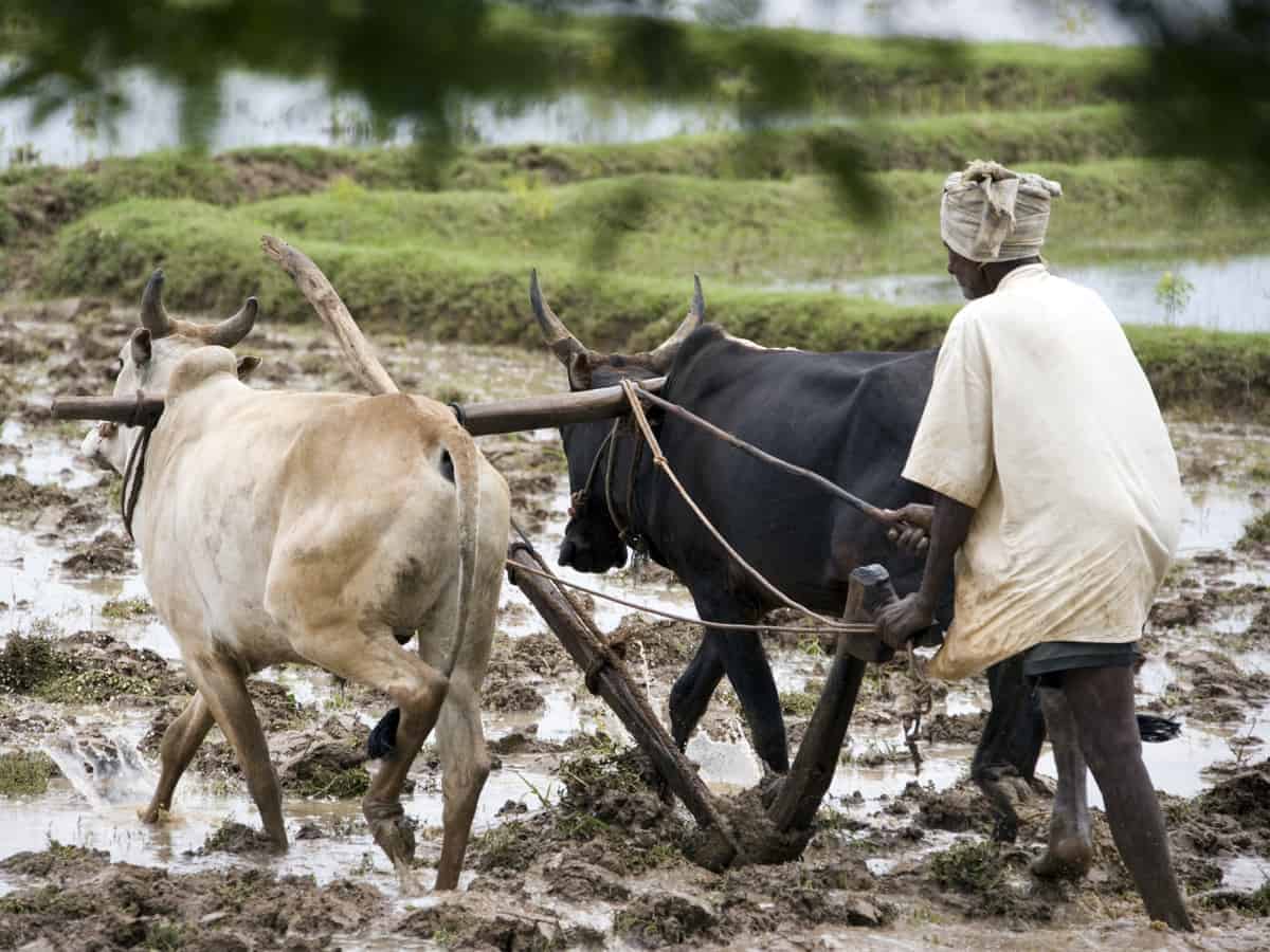COVID-19: Telangana's small farmer with big heart donates Rs 50k