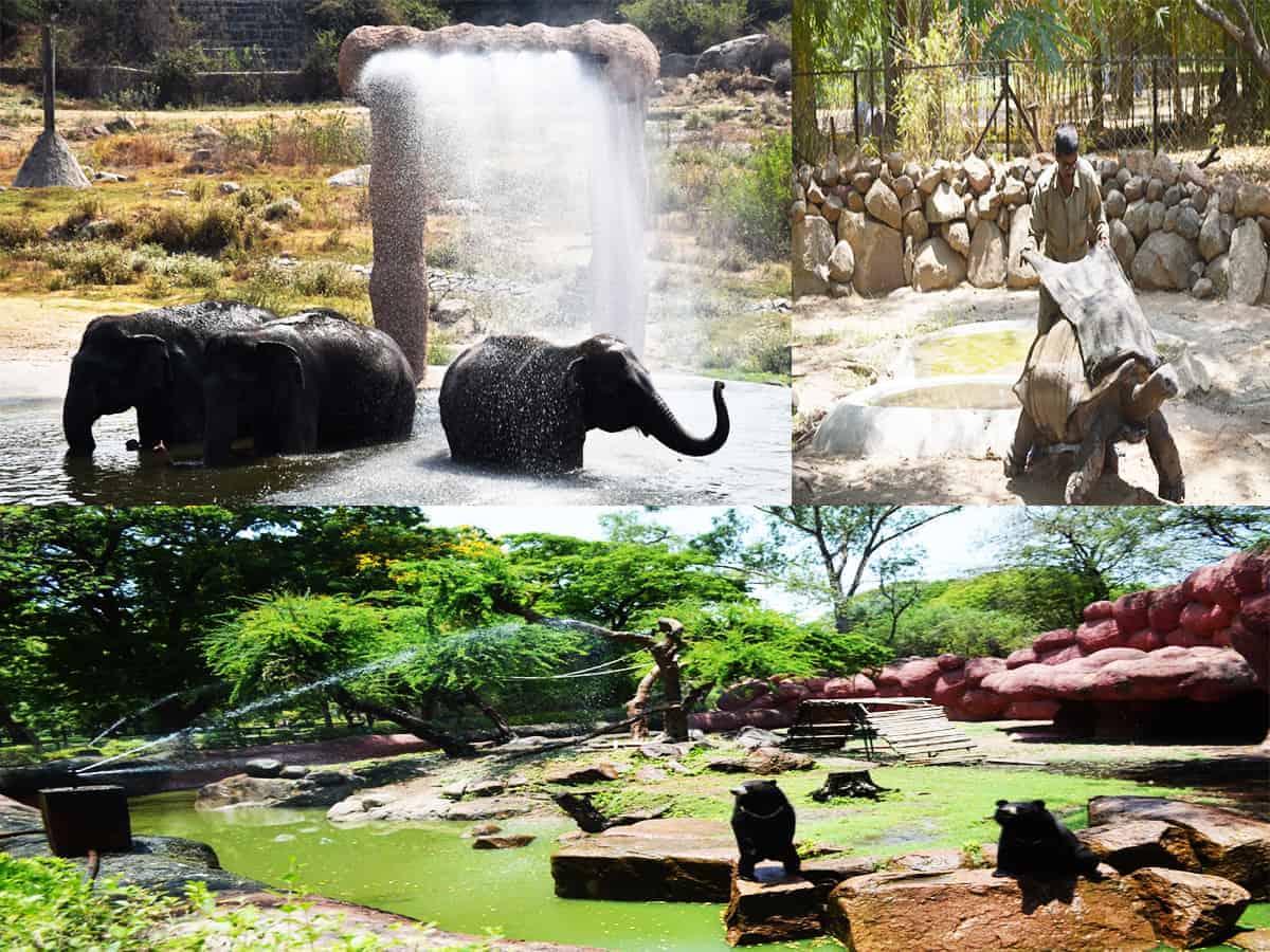 Hyderabad’s zoo staff prepares to protect animals from summer