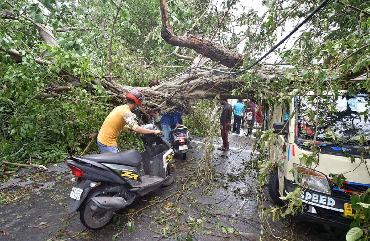 Cyclone Amphan leaves behind trail of destruction in WB, 12 dead