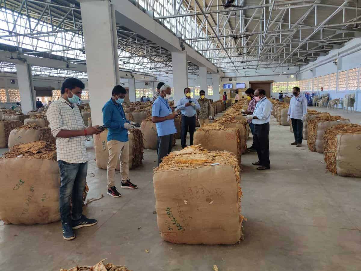 FAIFA appeals for an urgent rescue package for tobacco farmers
