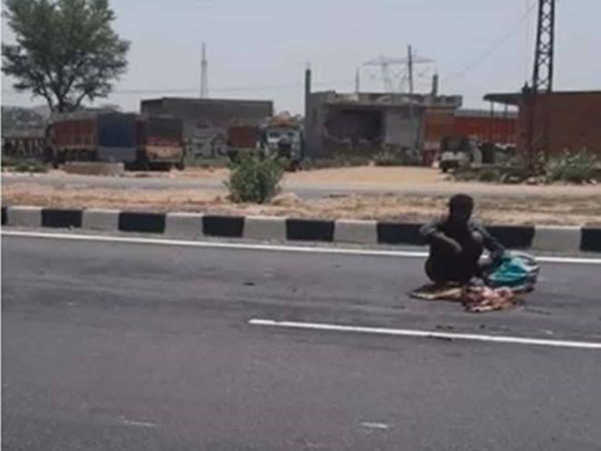 Migrant worker found eating dead dog near Jaipur