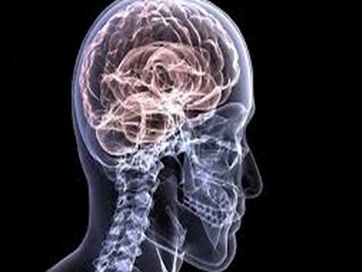 Neurological emergencies should not be delayed: Neurologist