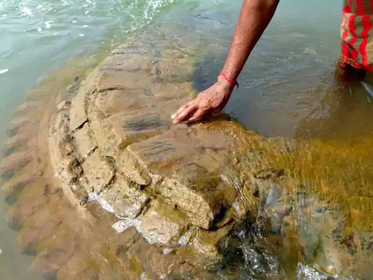 Temple Submerged Mahanadi