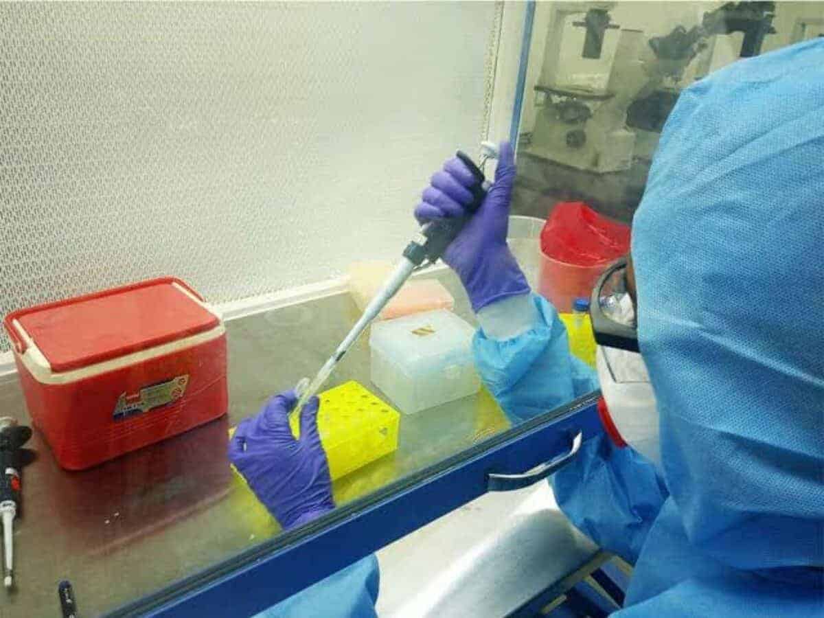 Ease COVID-19 testing for pregnant women: NGO