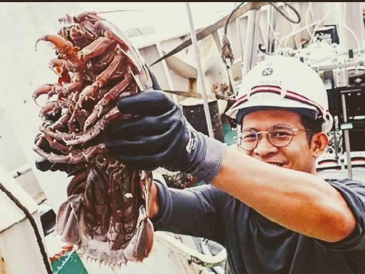 Giant cockroach