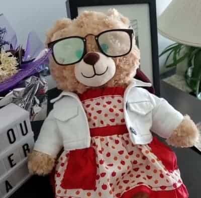 Ryan Reynolds offers monetary reward to help find lost teddy