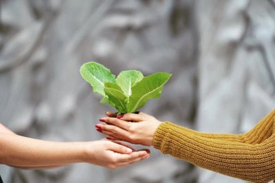Samantha Akkineni: Gardening is a game changer