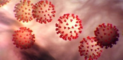 UK reports 1st animal COVID-19 case