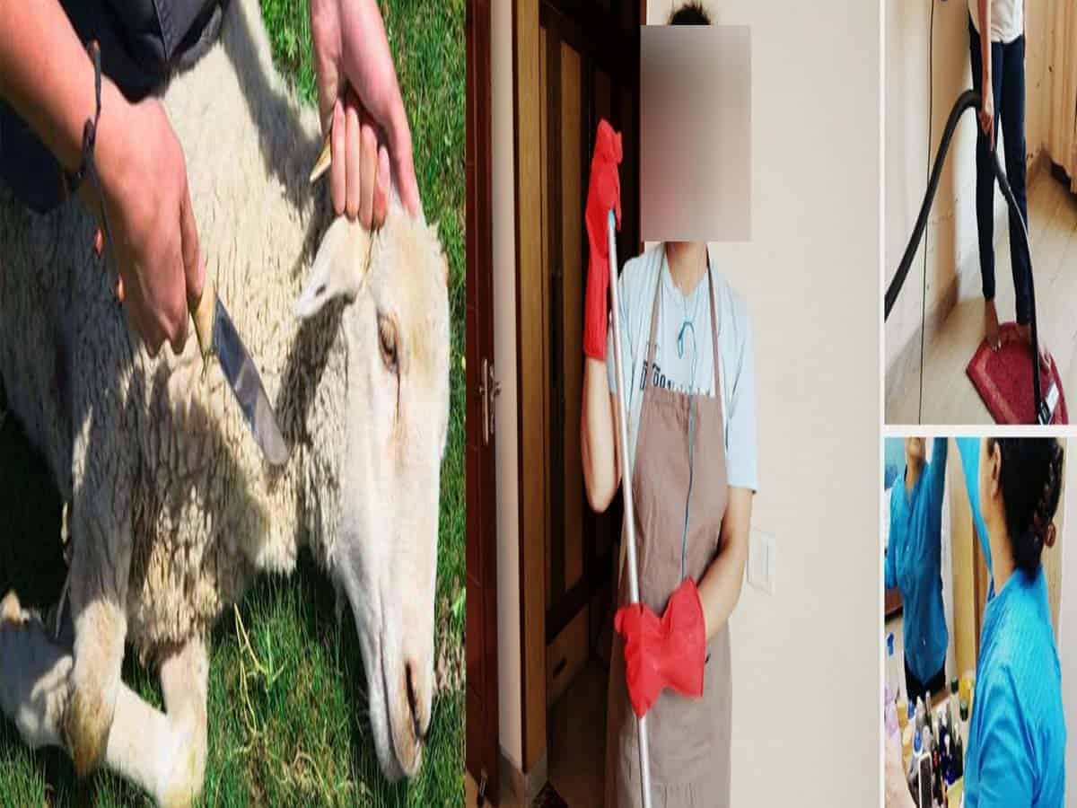 Everyone’s Bakrid must end with kadha, bath, sanitisation of the house advises doctor