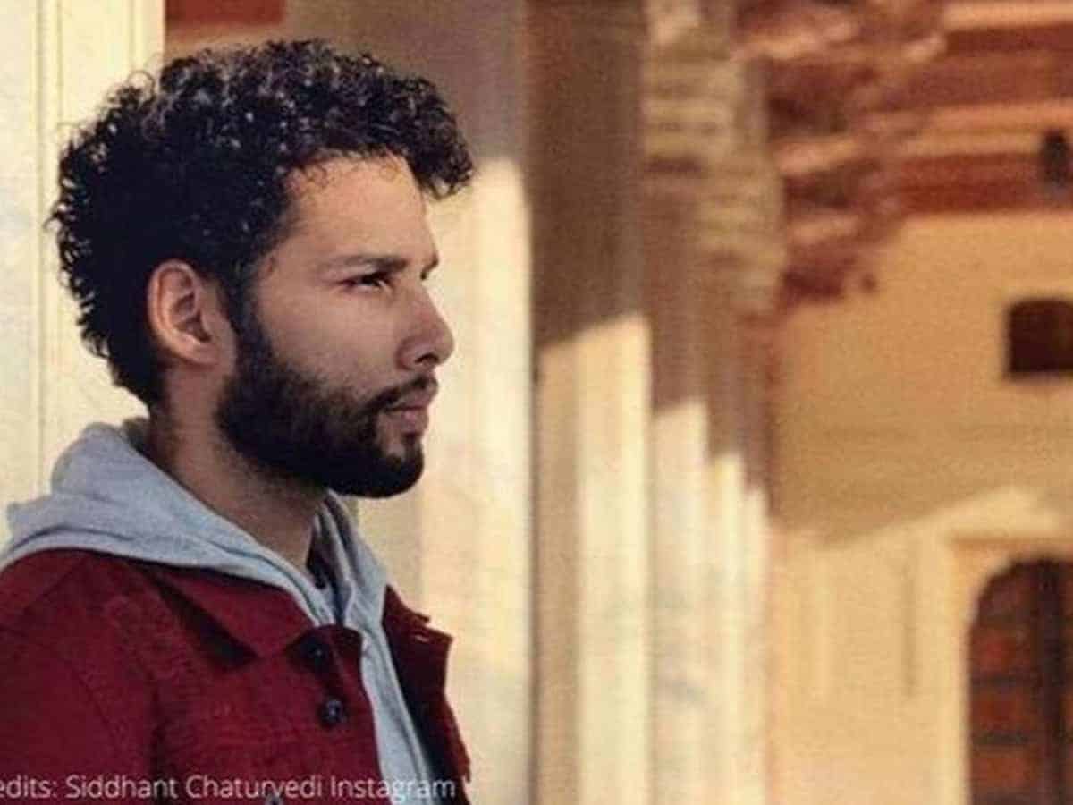 Siddhant Chaturvedi shares memes on himself
